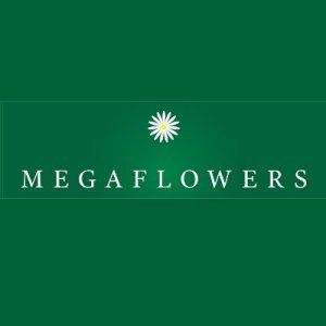 Megaflowers