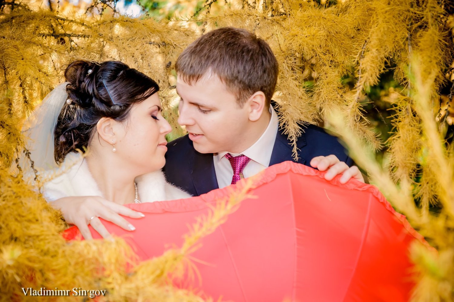 Фото в новой обработке 2013 года&nbsp;Фотограф на Свадьбу Владимир Синьгов : 