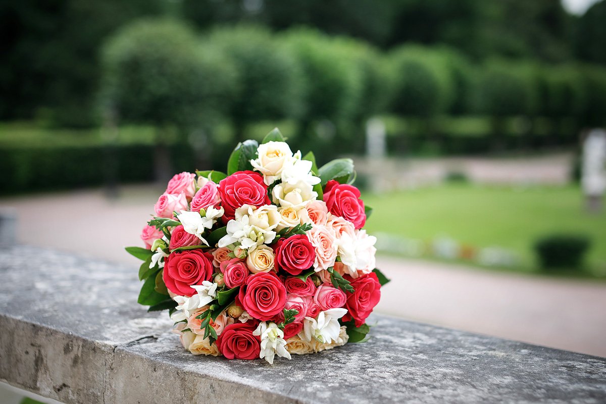 Свадьба в Кусково&nbsp;Фотограф Анна Ушакова : 