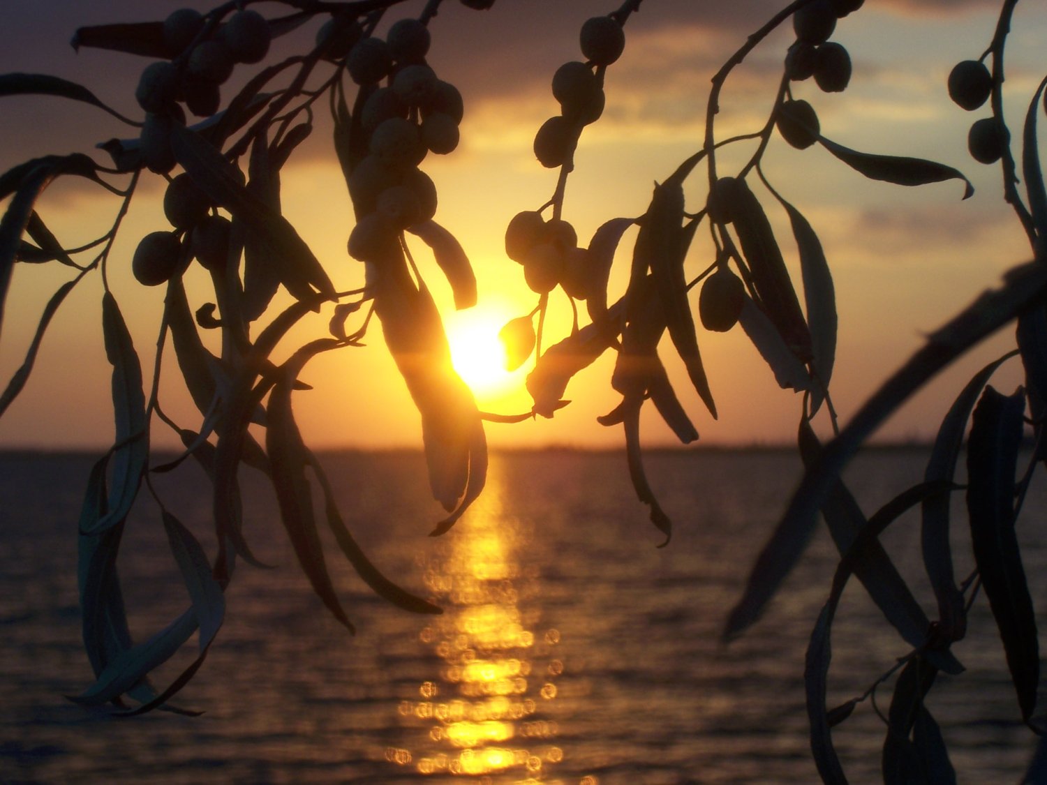 Портфолио&nbsp;Фото Видеосъемка ЯлтаКрым Фотограф Видеограф : 