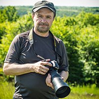 WEDSTUDIO (Видео и фото)