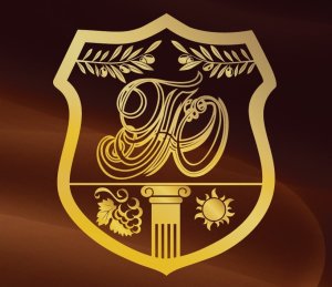 логотип Град Южный