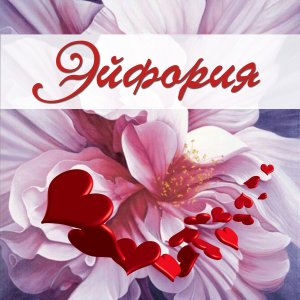 Центр красоты и здоровья "Эйфория"